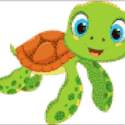 Tortue
